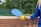 A person is holding a blue paddle and a yellow perforated ball next to a net on what appears to be a sports court. The background features a fence and greenery, suggesting an outdoor setting. The person is wearing a blue long-sleeved top.