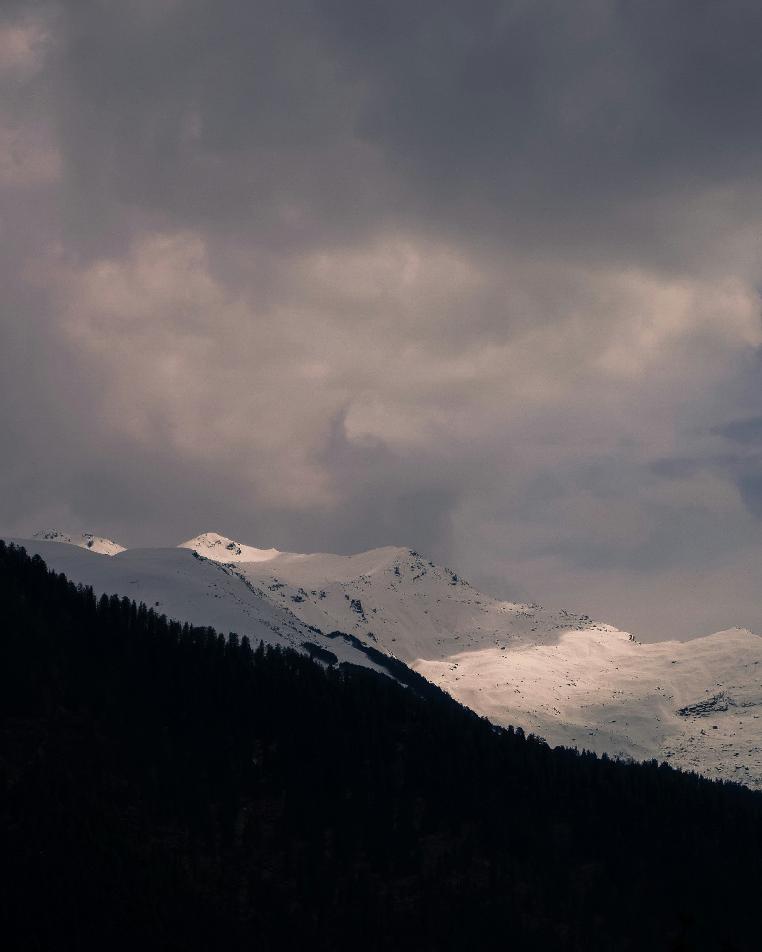 Photo by photographsbyashish