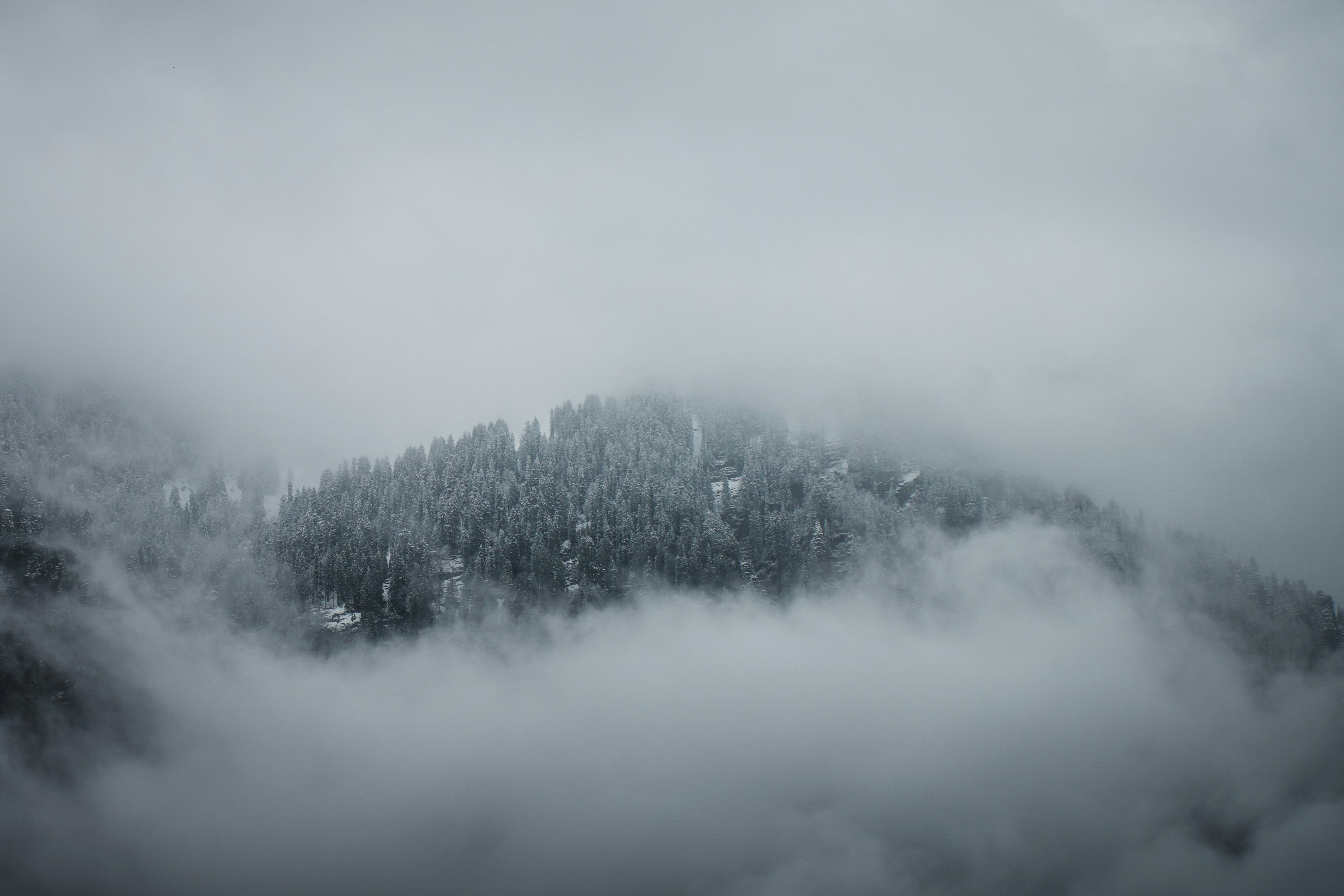 Photo by photographsbyashish