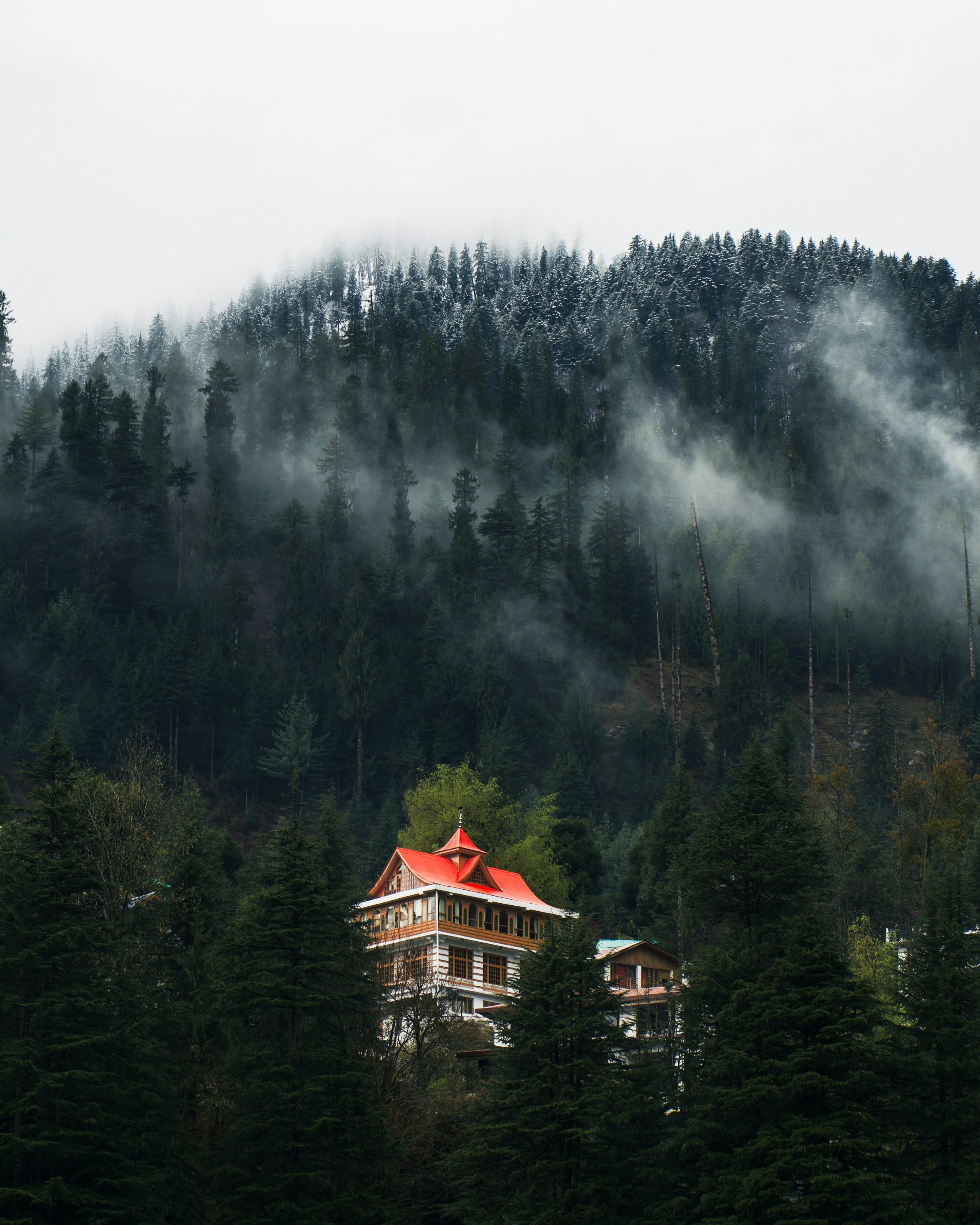 Photo by photographsbyashish