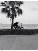 BMX rider crossing a scenic Florida bridge with the ocean in the background.