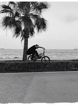 BMX rider crossing a scenic Florida bridge with the ocean in the background.