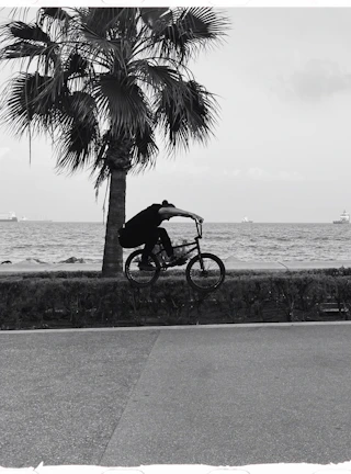 BMX rider crossing a scenic Florida bridge with the ocean in the background.
