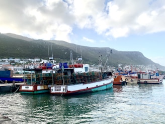 Several fishing boats docked at a harbor with a mountainous backdrop. The boats are loaded with cages and equipment. The harbor is calm, and the sky is partly cloudy.