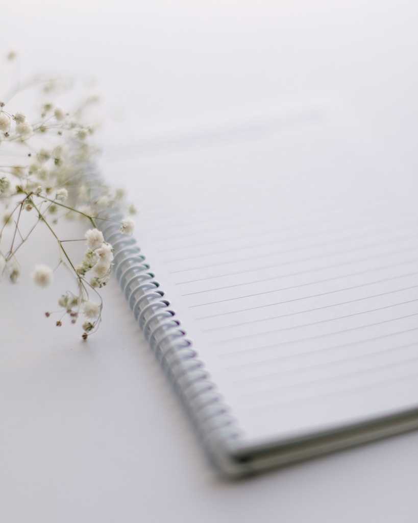 The Gratitude Journal