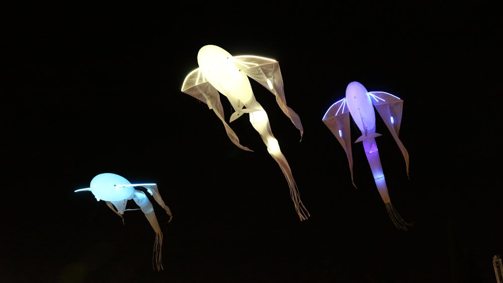 a group of kites that are flying in the air