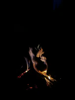 Bright flames flickering against a dark background, highlighting the fire starters' effect.