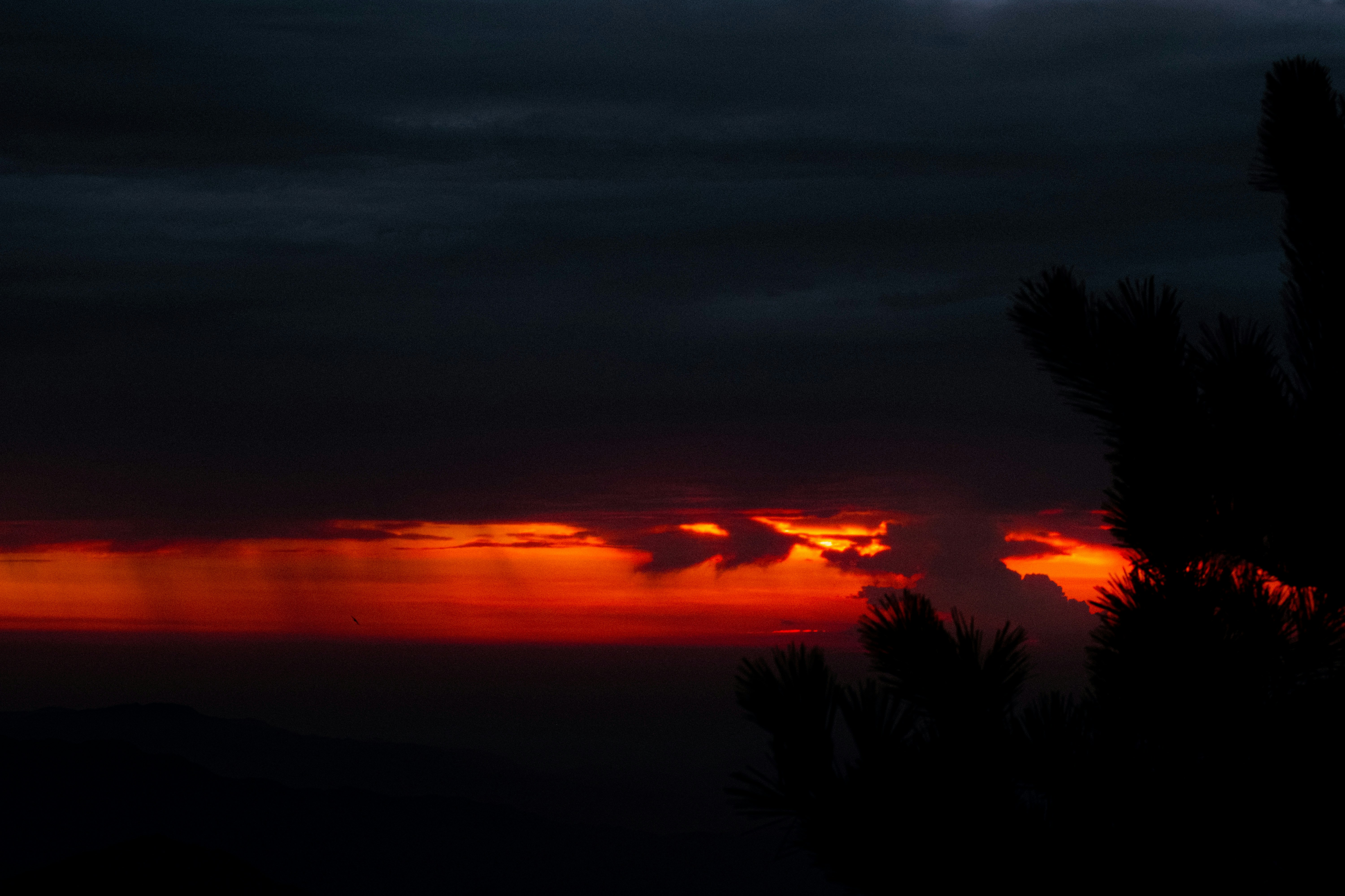 Photo by xiexianghua