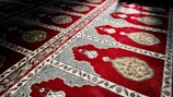 Intricate red carpet with elaborate patterns, including floral and geometric designs. The carpet is divided into sections, each featuring a central motif surrounded by detailed border elements. Sunlight casts shadows across parts of the carpet, enhancing the texture and depth of the design.