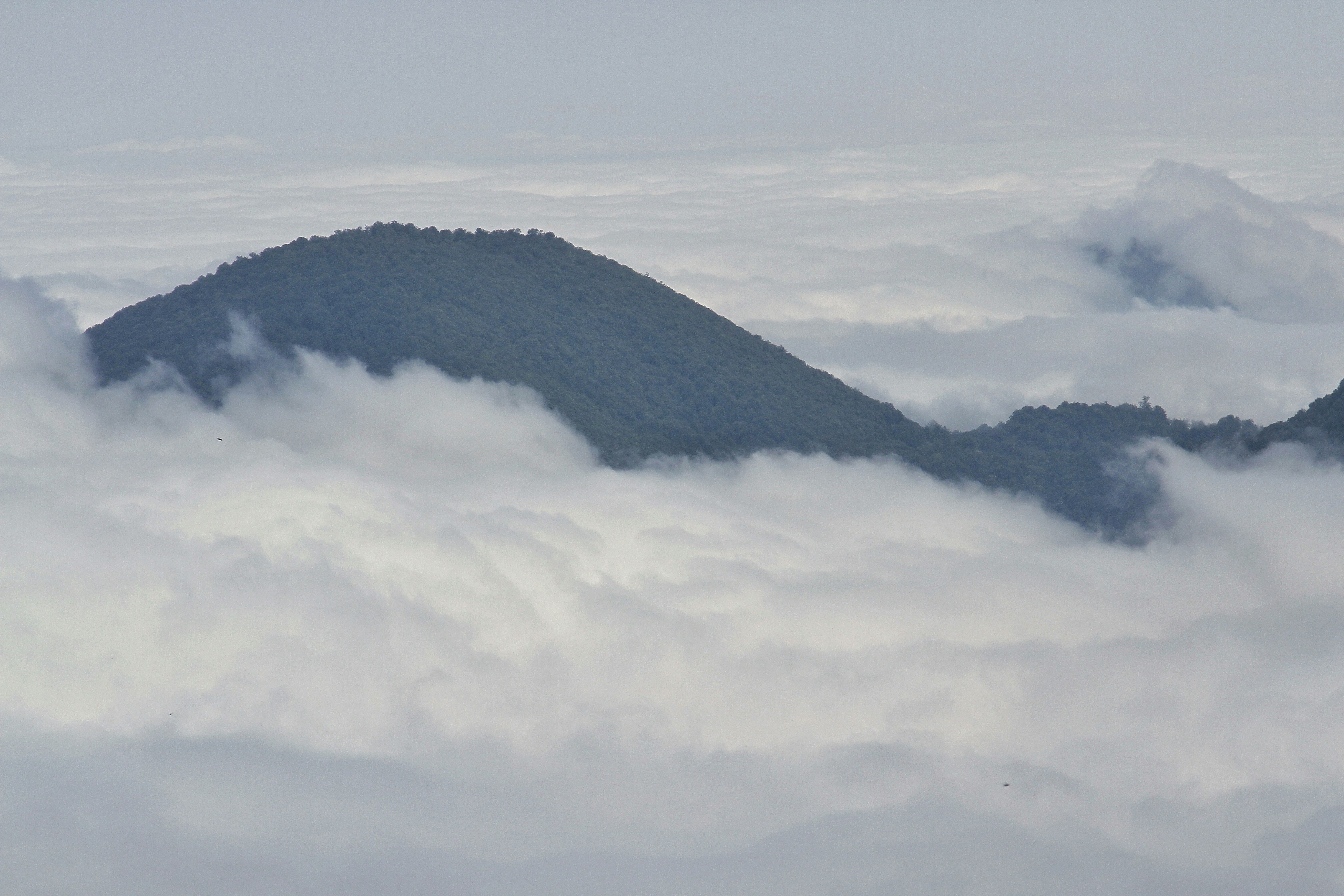 Reflections from the Summit: Lessons from a Lost World (image credits: unsplash)