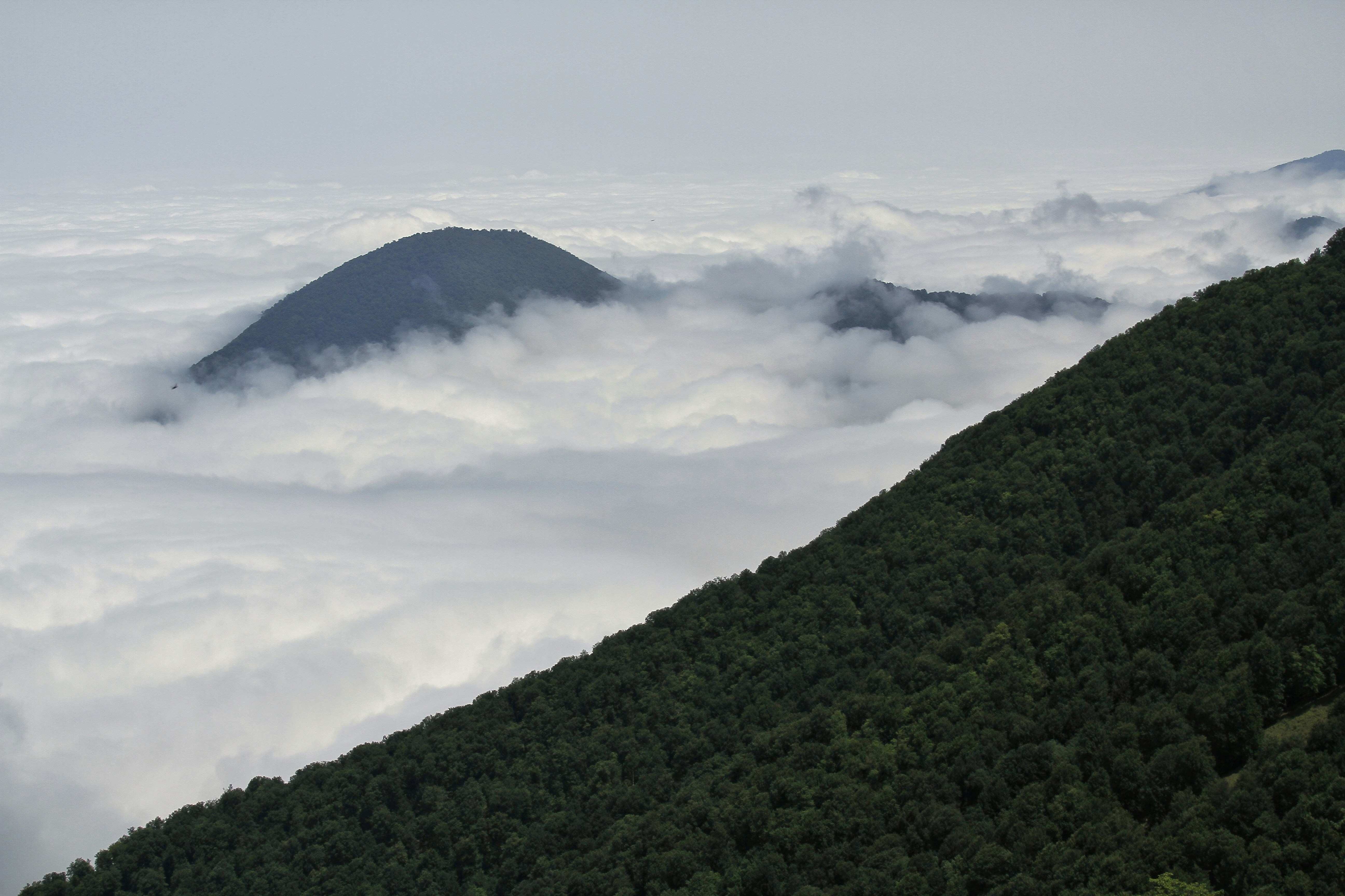Photo by mokhalad