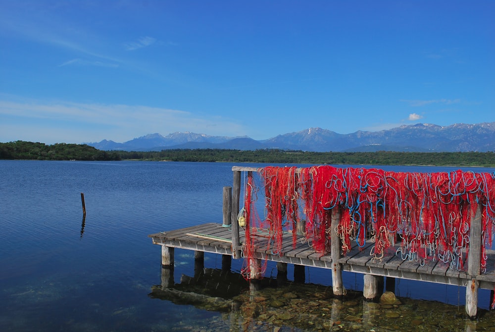 a dock with a bunch of red string on it