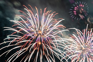 Person placing an order on a colorful fireworks website on a laptop.