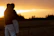 Golden hour portrait of a couple embracing gently in a terracotta-hued landscape.