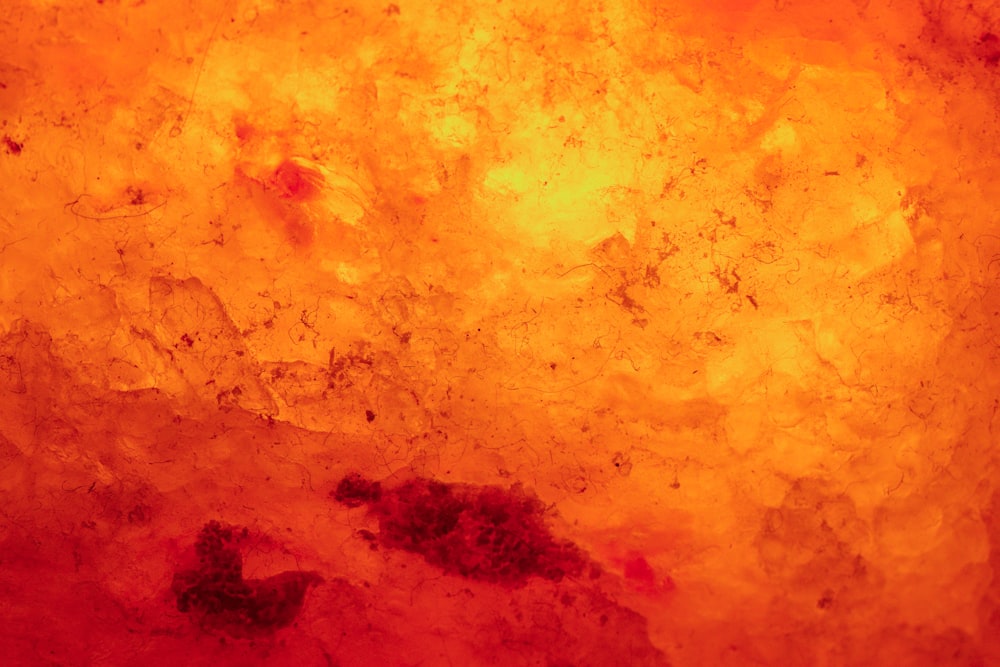 a close up of a red and yellow substance