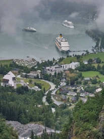 Cruise ships are navigating through a narrow fjord, surrounded by mist-covered mountains and green landscapes. A small village with scattered houses and buildings can be seen in the foreground, with verdant trees and roads winding through the area.