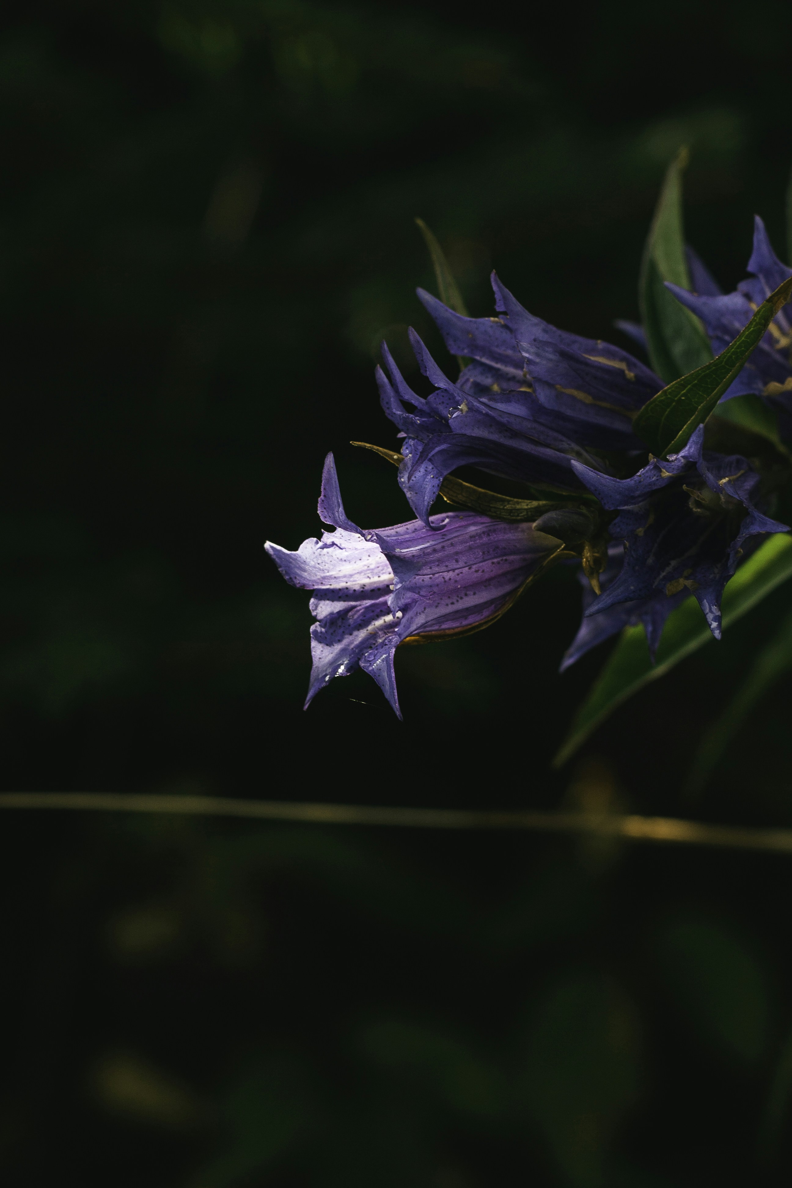 Photo by linaos