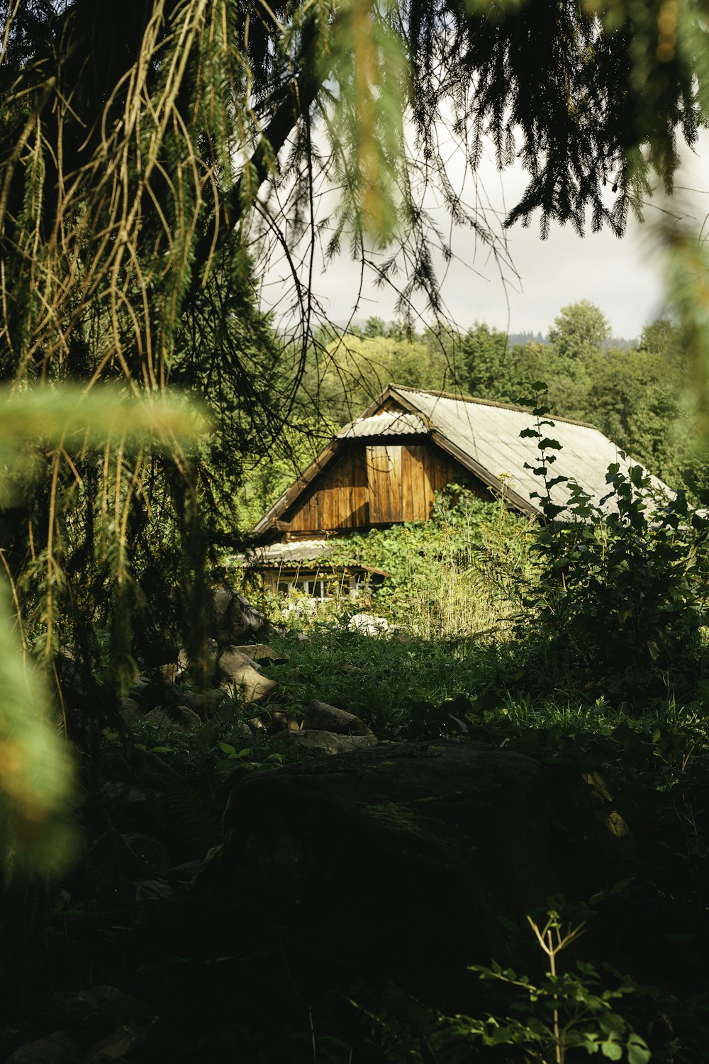 a house in the middle of a forest