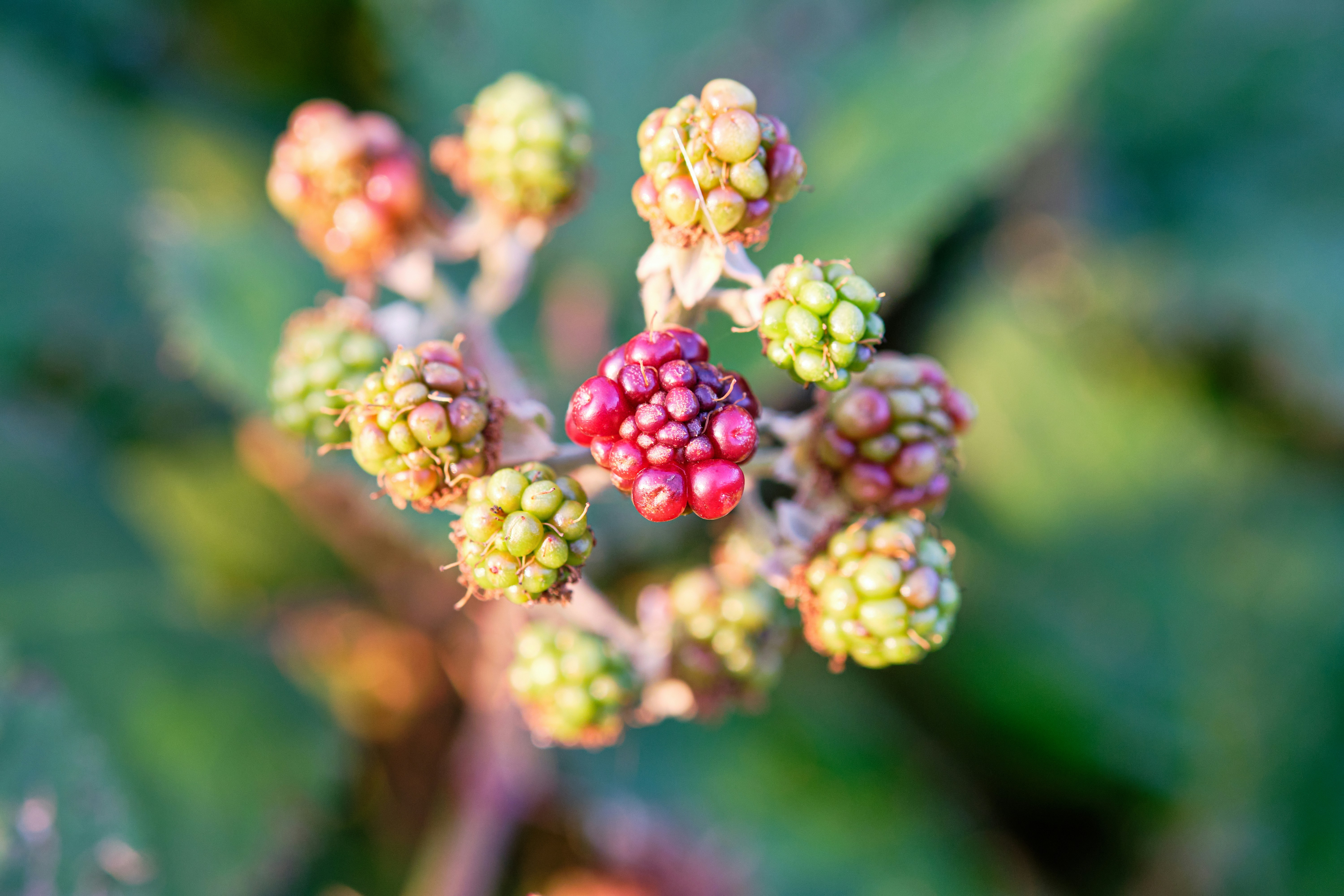 Photo by frostroomhead