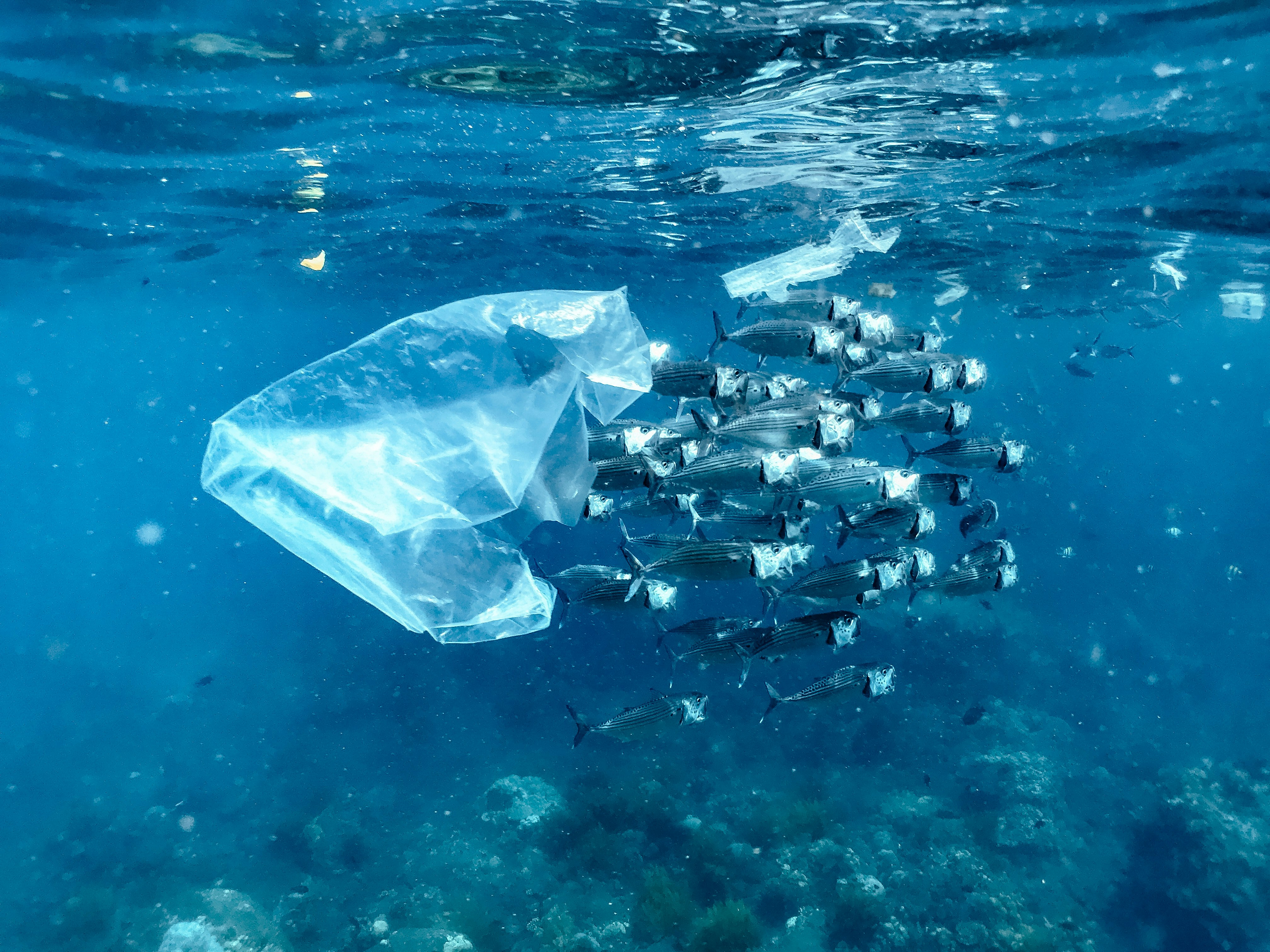 Eco-Friendly Pollution Combat Products