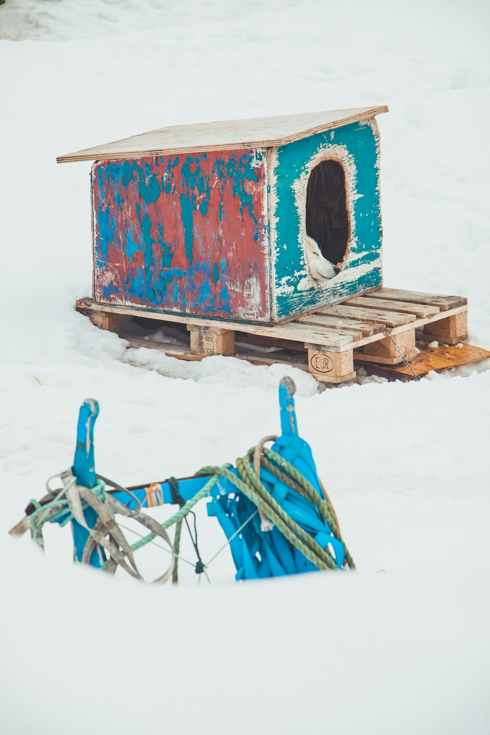 a dog house made out of pallets in the snow