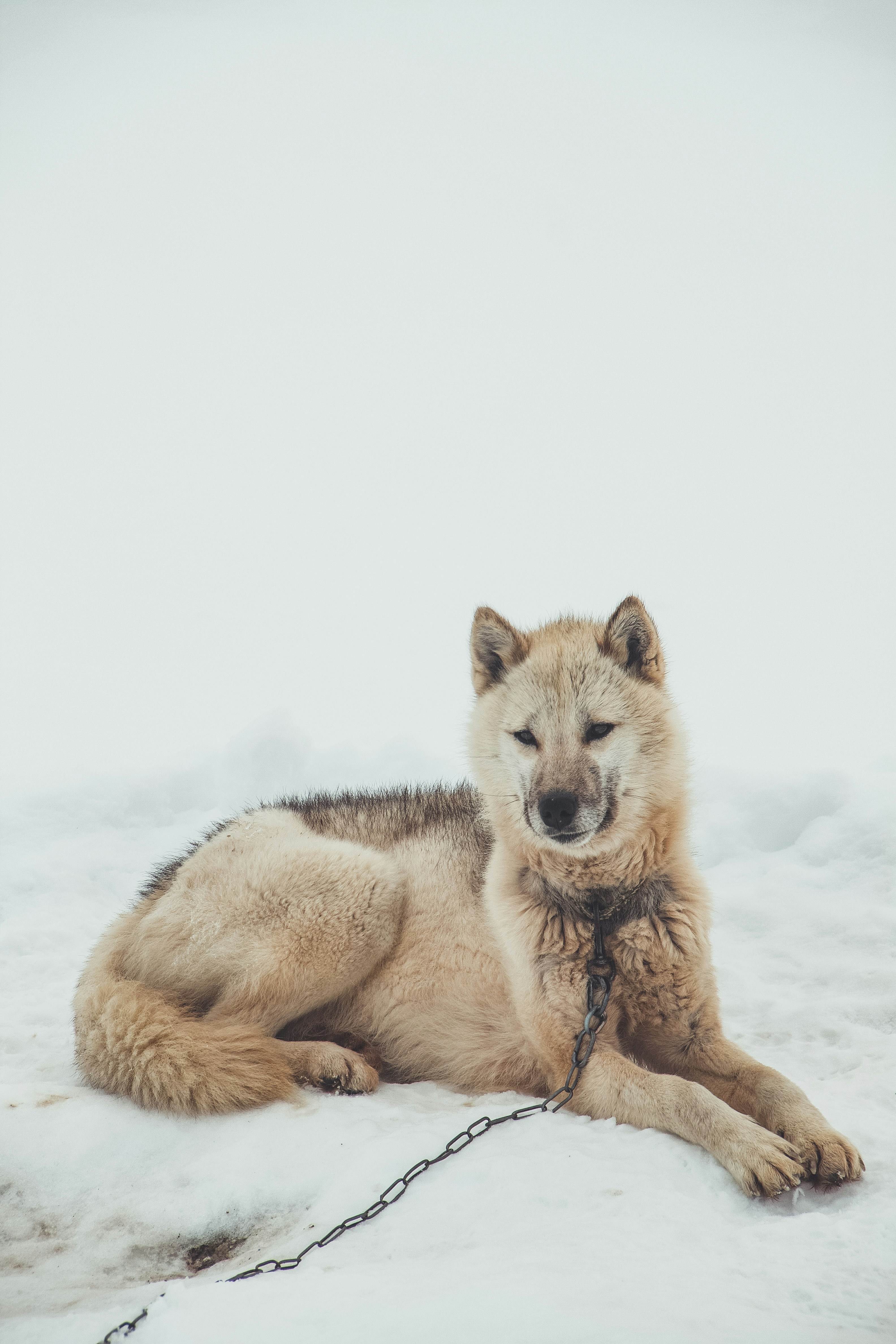 Conclusion (image credits: unsplash)