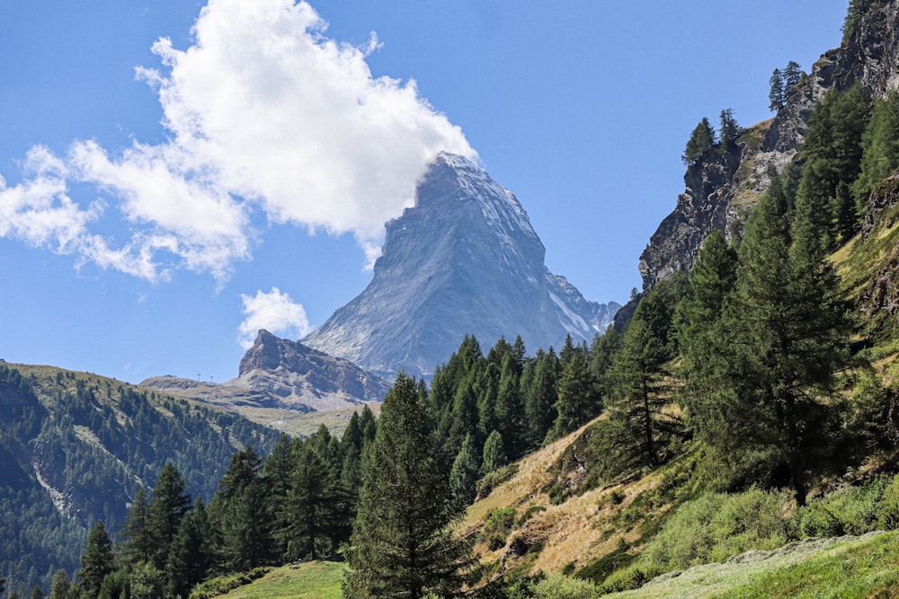 a view of a mountain with trees and grass in the foreground