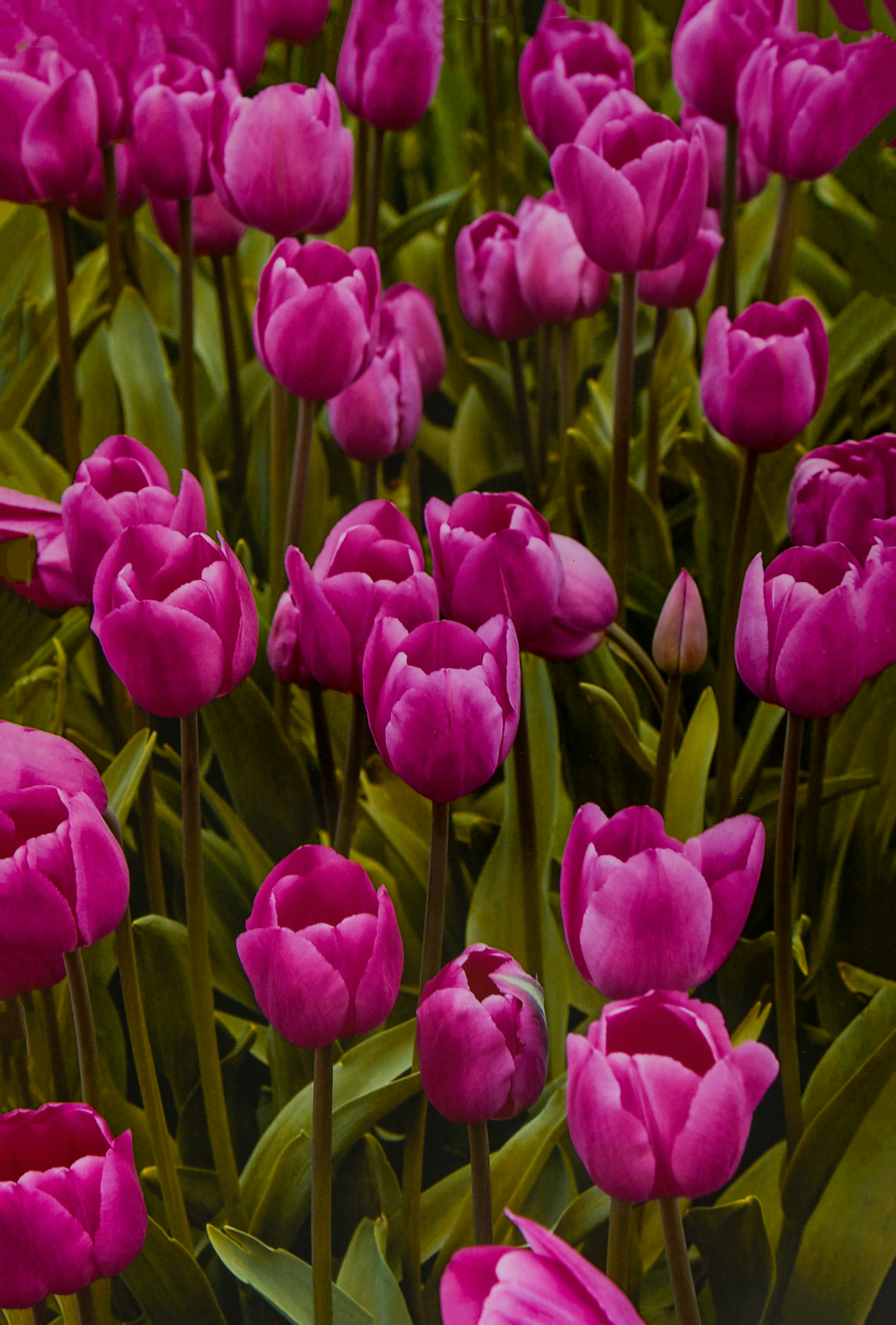 Photo by nikonphotoman2023