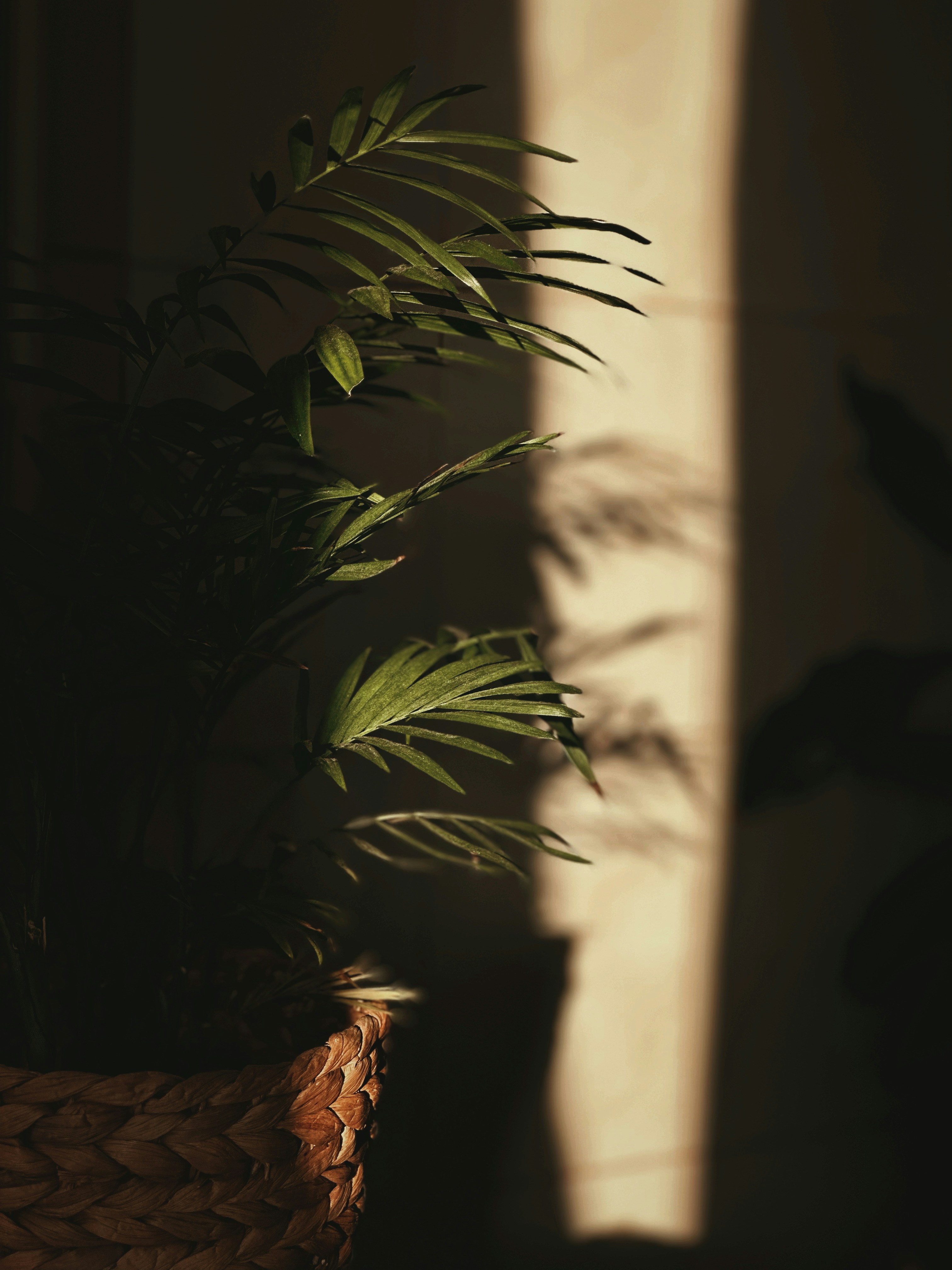 Photo by alexandraleru