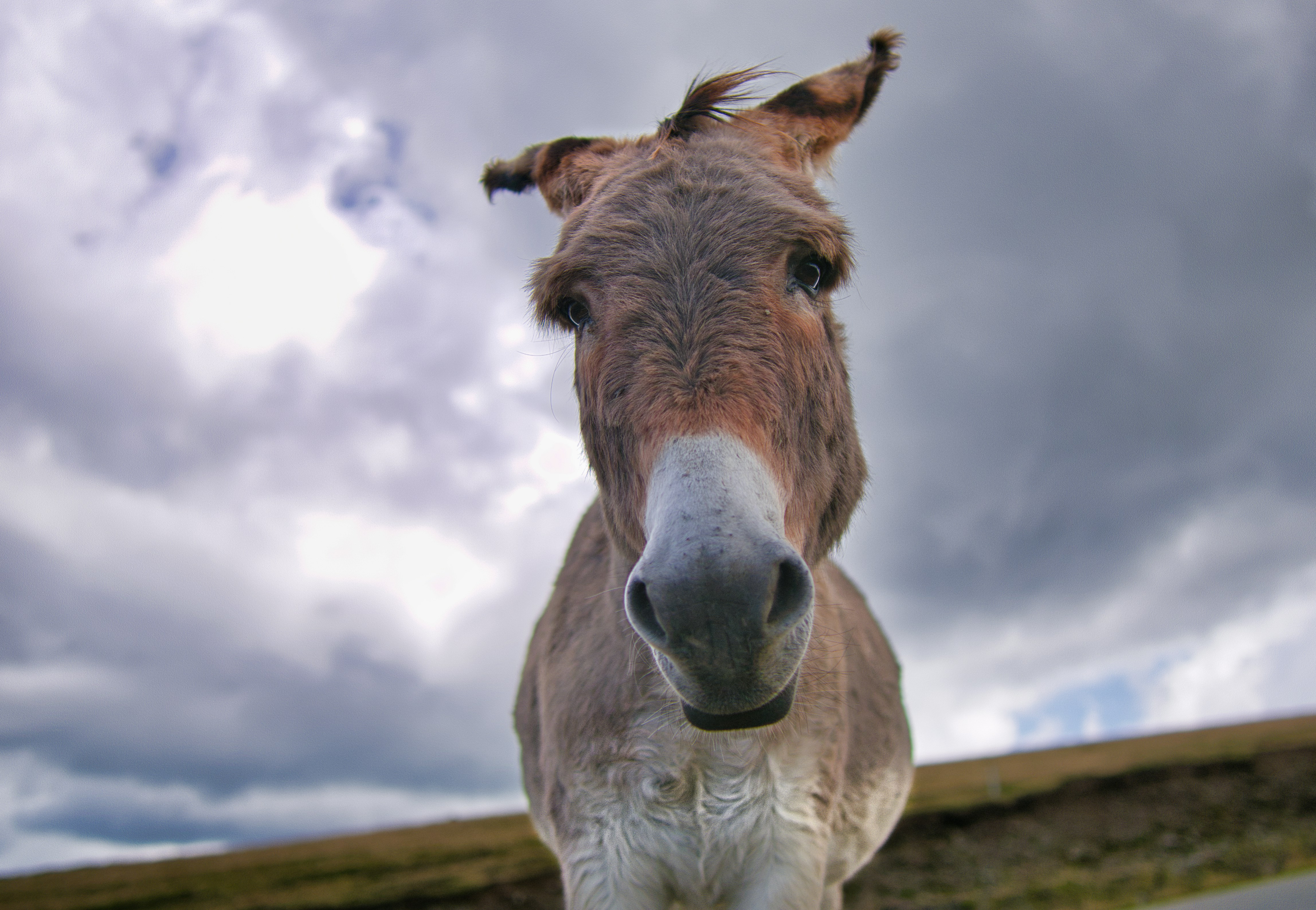 Photo by coajacristian