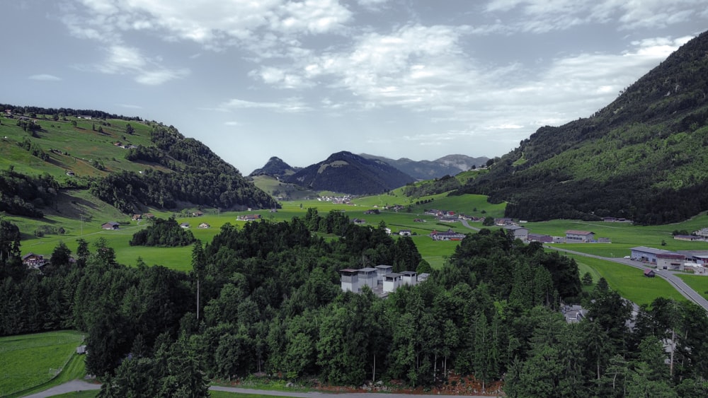 une vue panoramique d’une vallée verdoyante avec des montagnes en arrière-plan