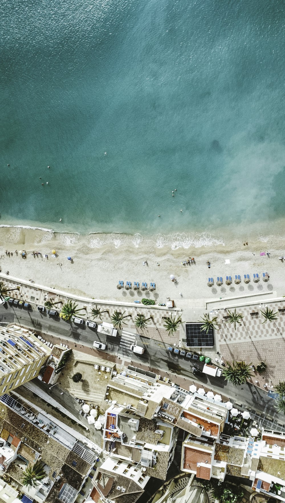 an aerial view of a beach and the ocean