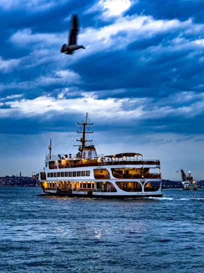 A large ferry sails across a body of water under a dramatic, cloudy sky. The ferry is illuminated with warm lights, contrasting with the cool tones of the sky and water. A bird flies above the ferry, adding a touch of nature to the scene. In the background, city lights are visible along the shoreline.