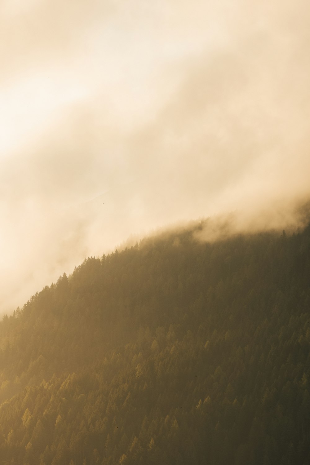 a mountain covered in fog and trees under a cloudy sky