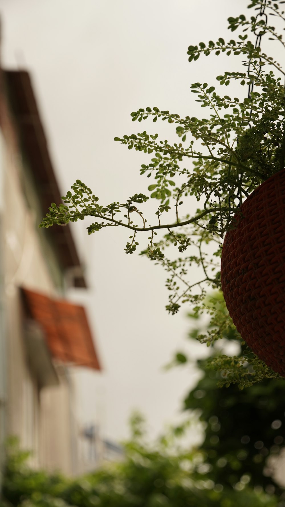 a red basket hanging from the side of a building