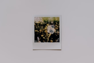 A faded Polaroid photo on a plain background, displaying an abstract image with blurred details and a mixture of dark and light areas. The colors primarily consist of dark green and yellowish hues.