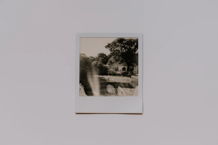 Framed photo hanging on a wall