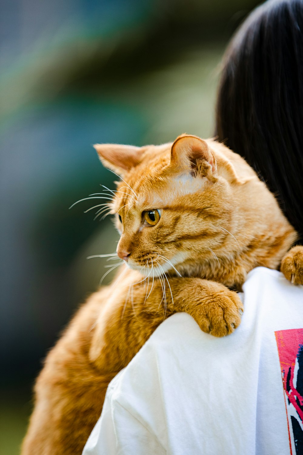 a woman holding a cat in her arms