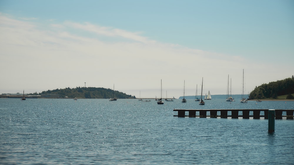 a body of water filled with lots of boats