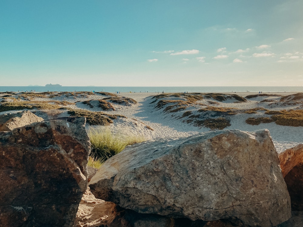 a sandy beach with large rocks and grass