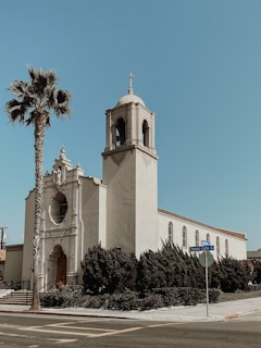 a church with a palm tree in front of it