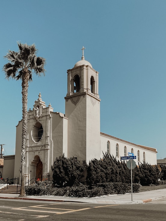 a church with a palm tree in front of it