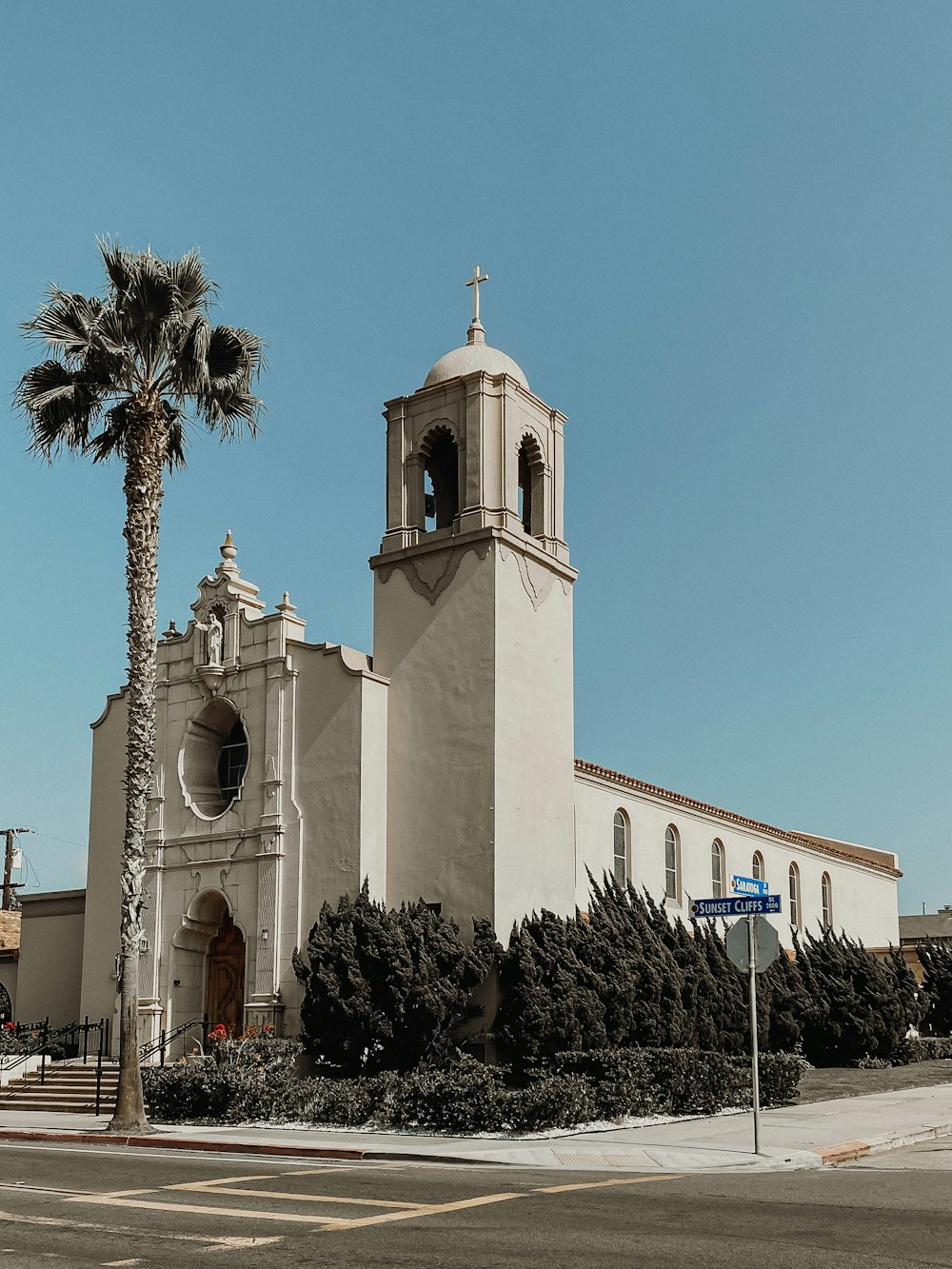 a church with a palm tree in front of it