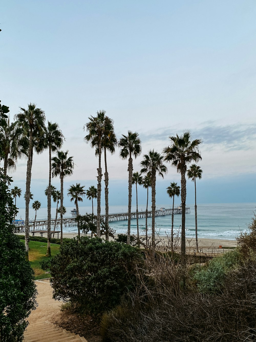 a view of a beach with palm trees and a pier in the distance