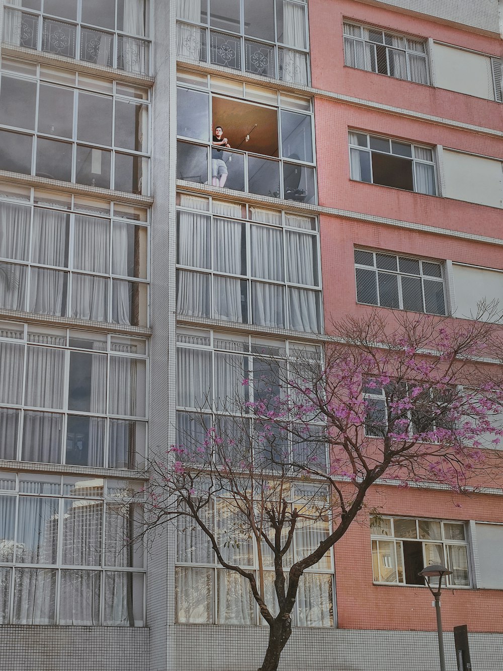 a tall building with lots of windows next to a tree