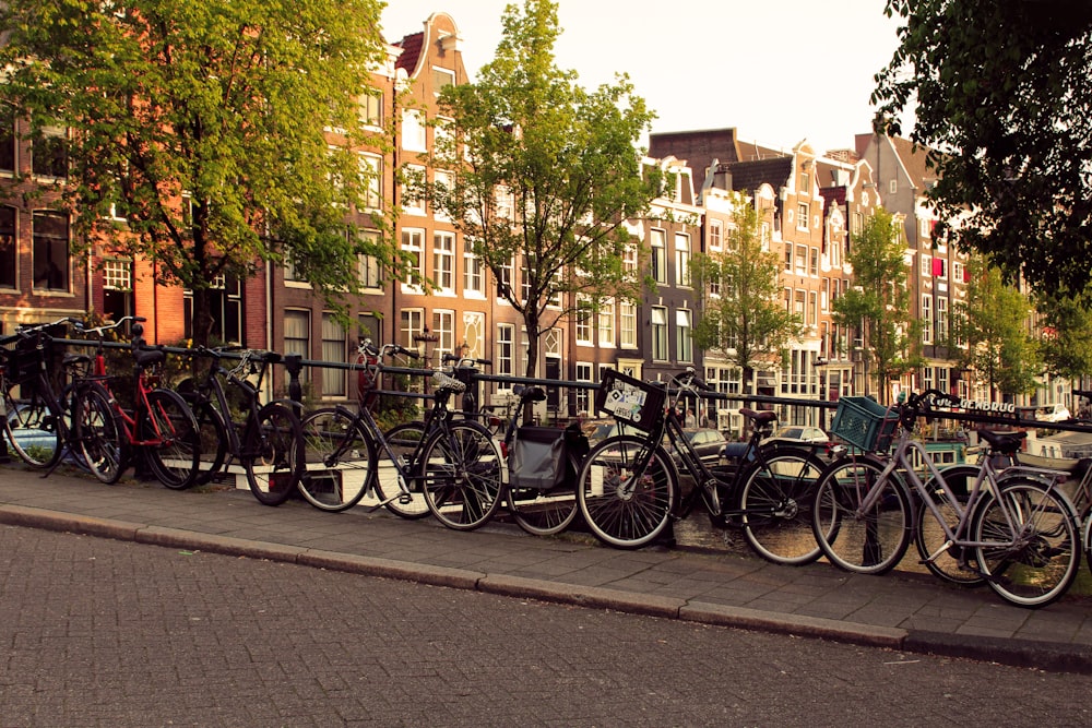 a row of bikes parked next to each other on a sidewalk