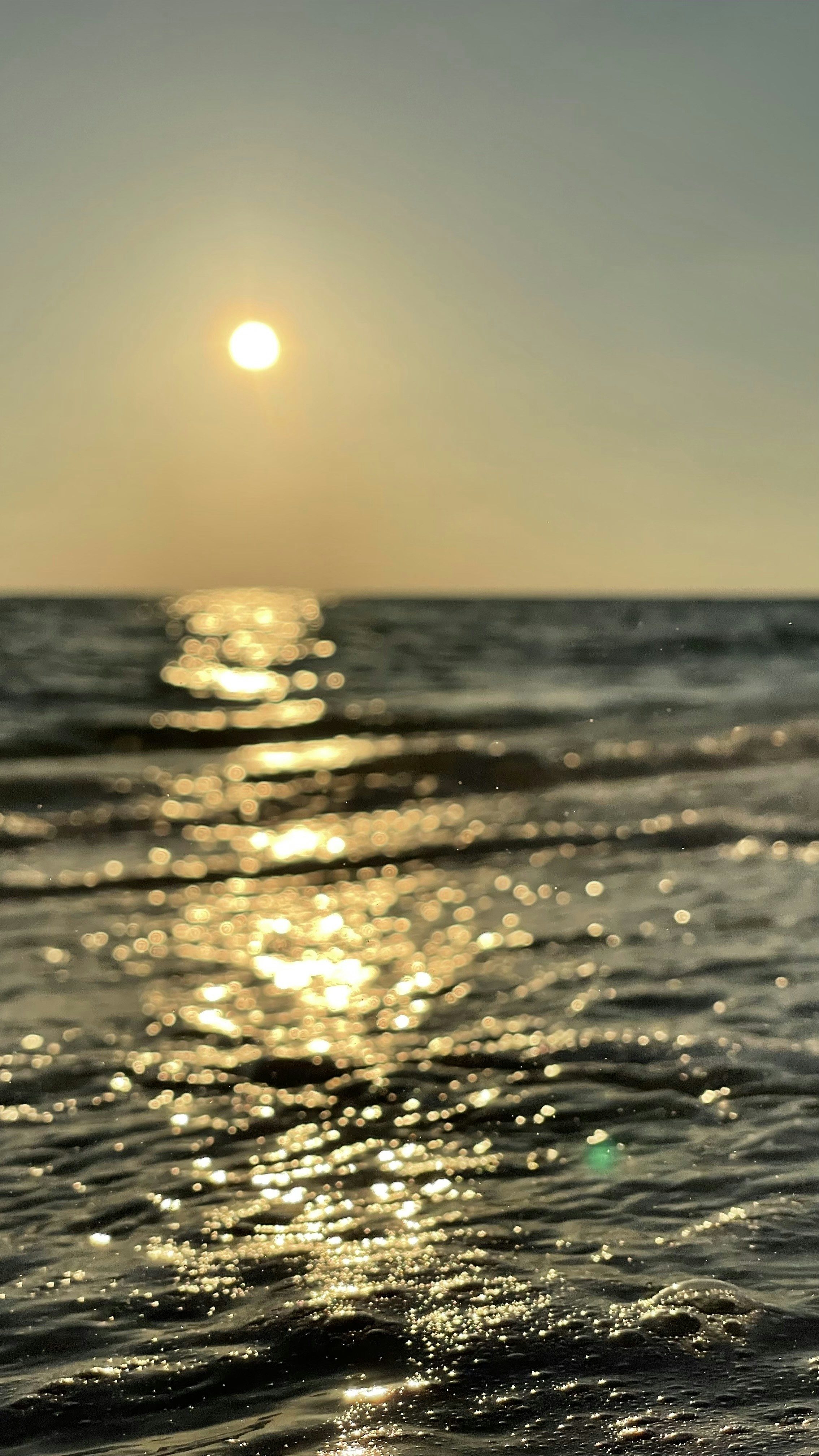 Photo by protigys41nerd