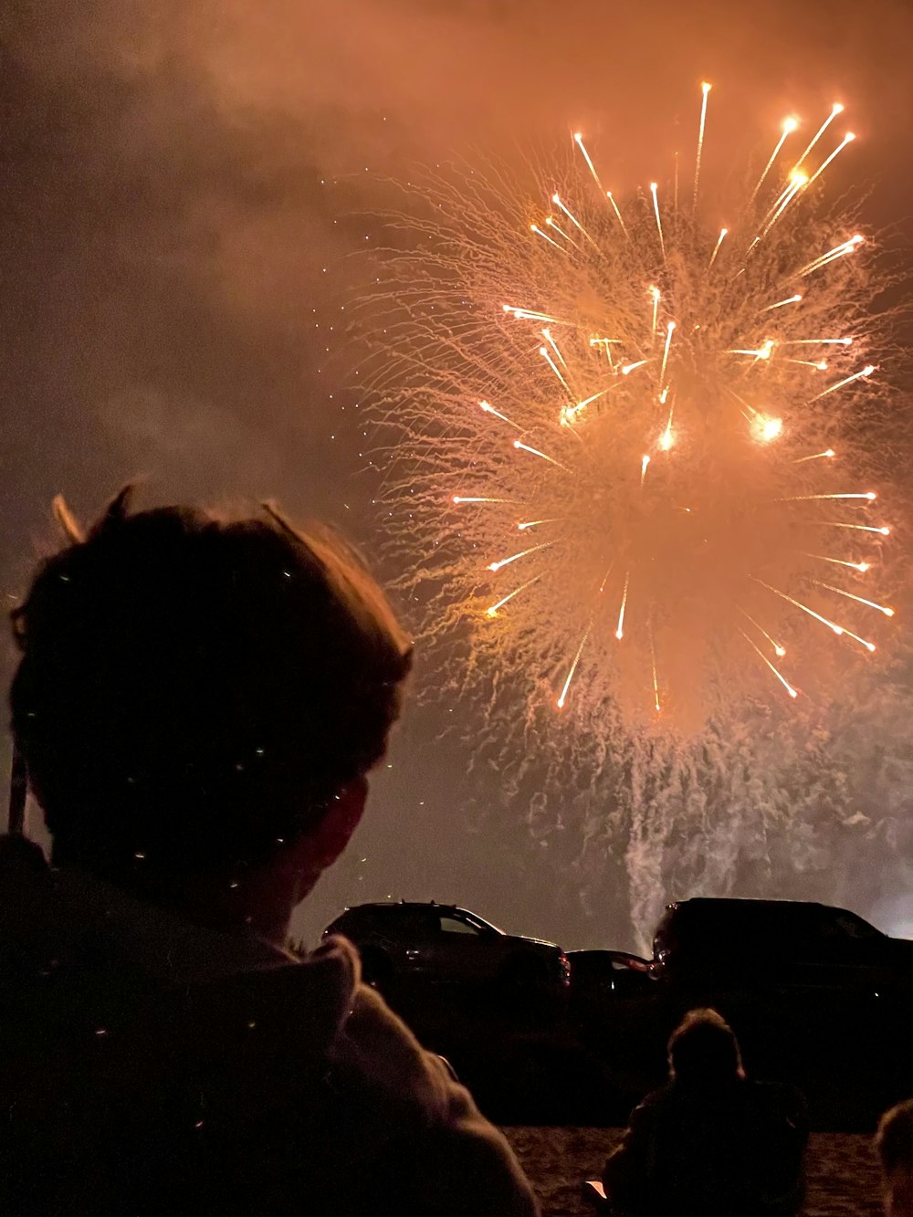 a crowd of people watching a fireworks display