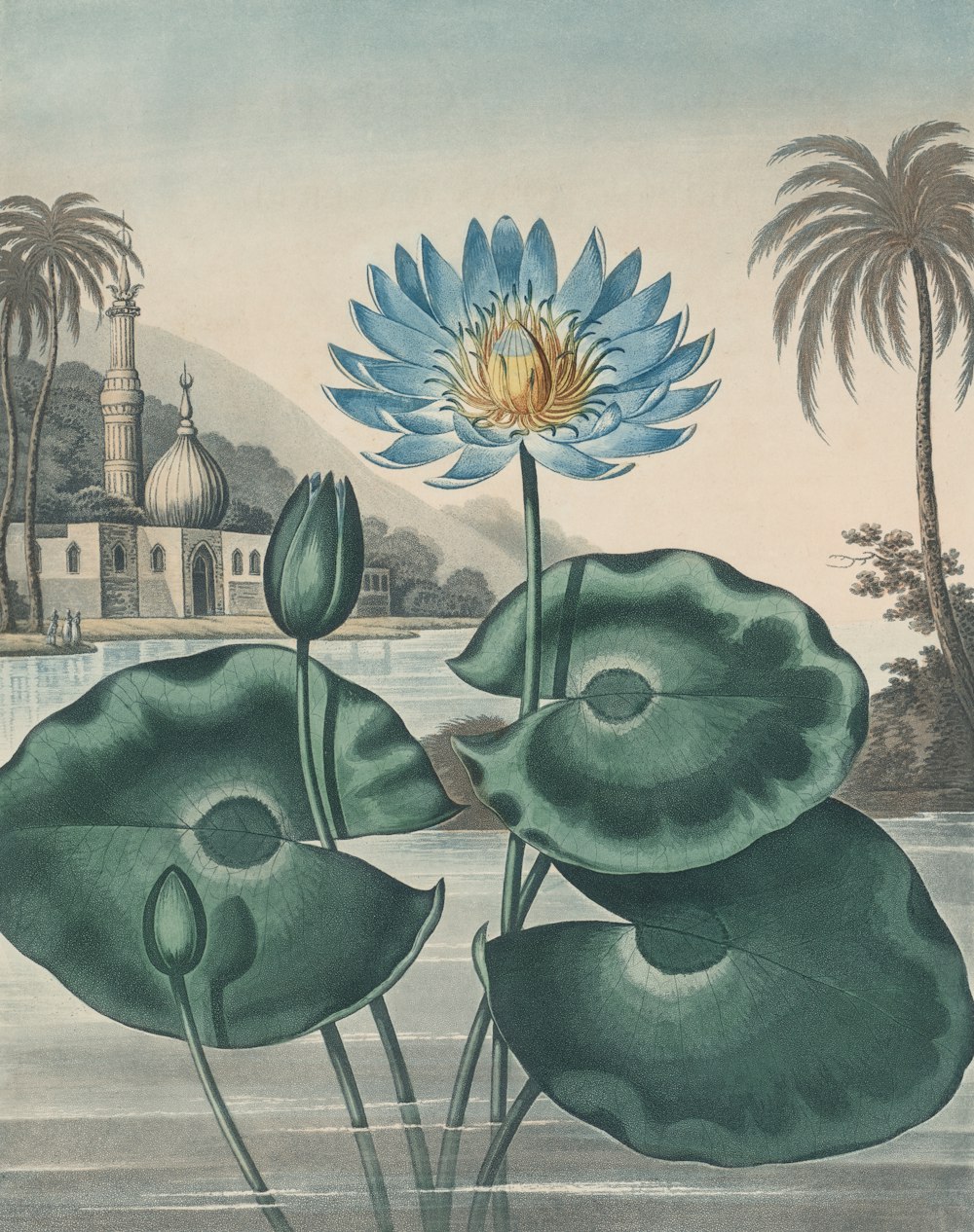 a painting of a blue lotus flower with a temple in the background