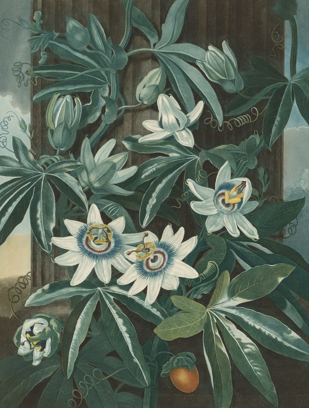 a painting of white flowers and green leaves